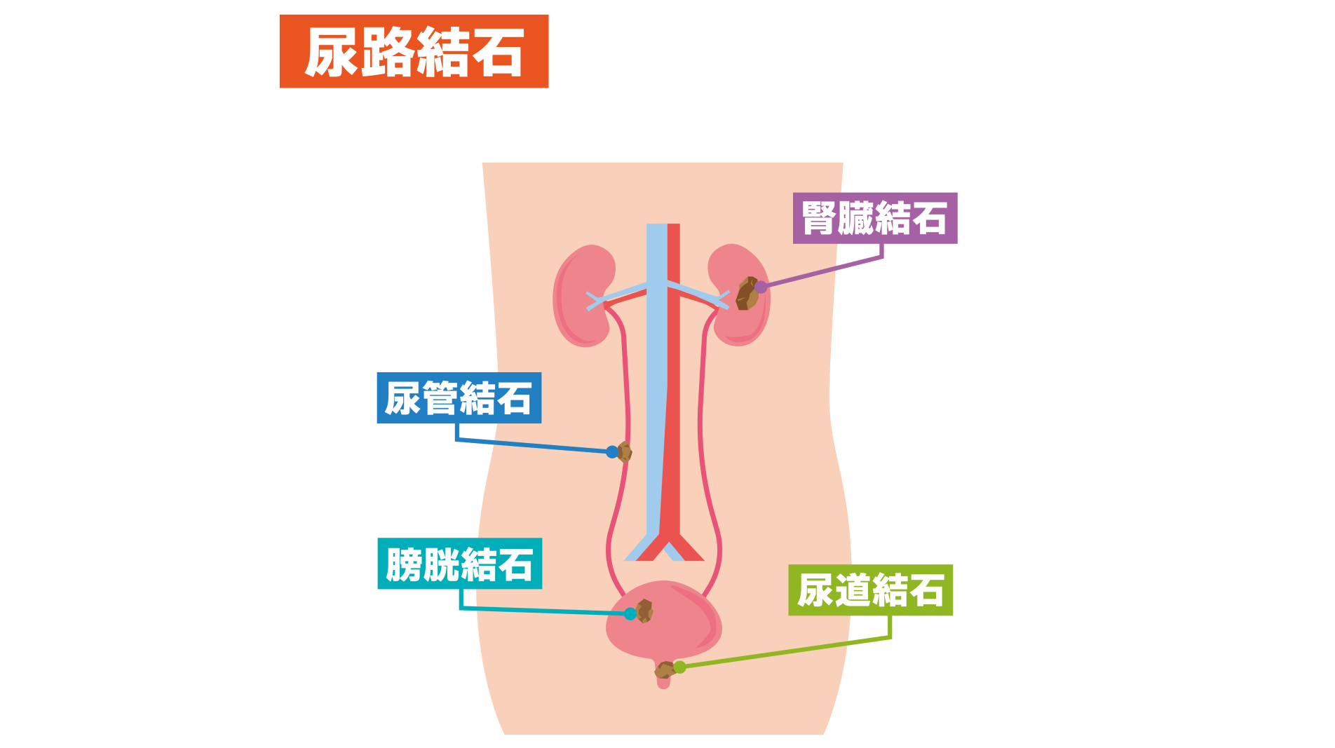 複数の病気が絡み合う複雑な症例においても対応可能な体制を構築