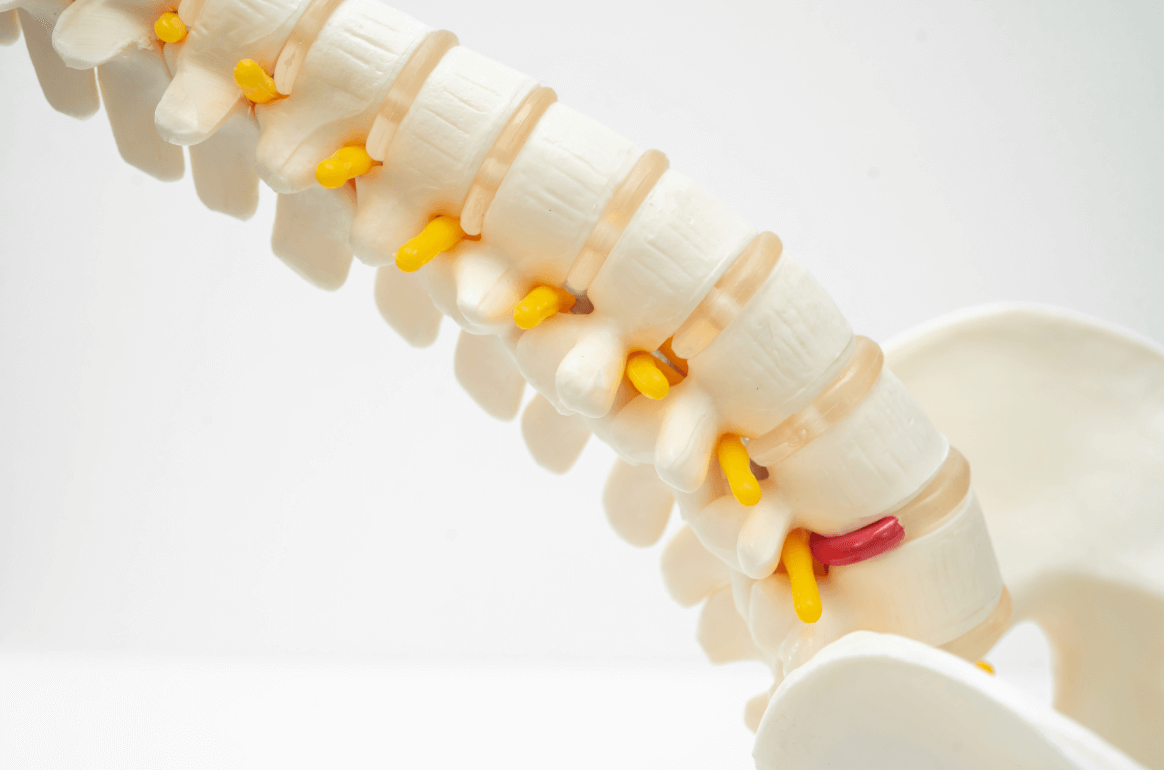 脊椎ドックを実施し、いつまでも健やかな生活が送れるようサポート