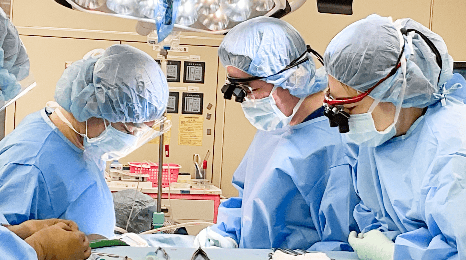 術後の再狭窄から複雑な症例まで幅広く対応