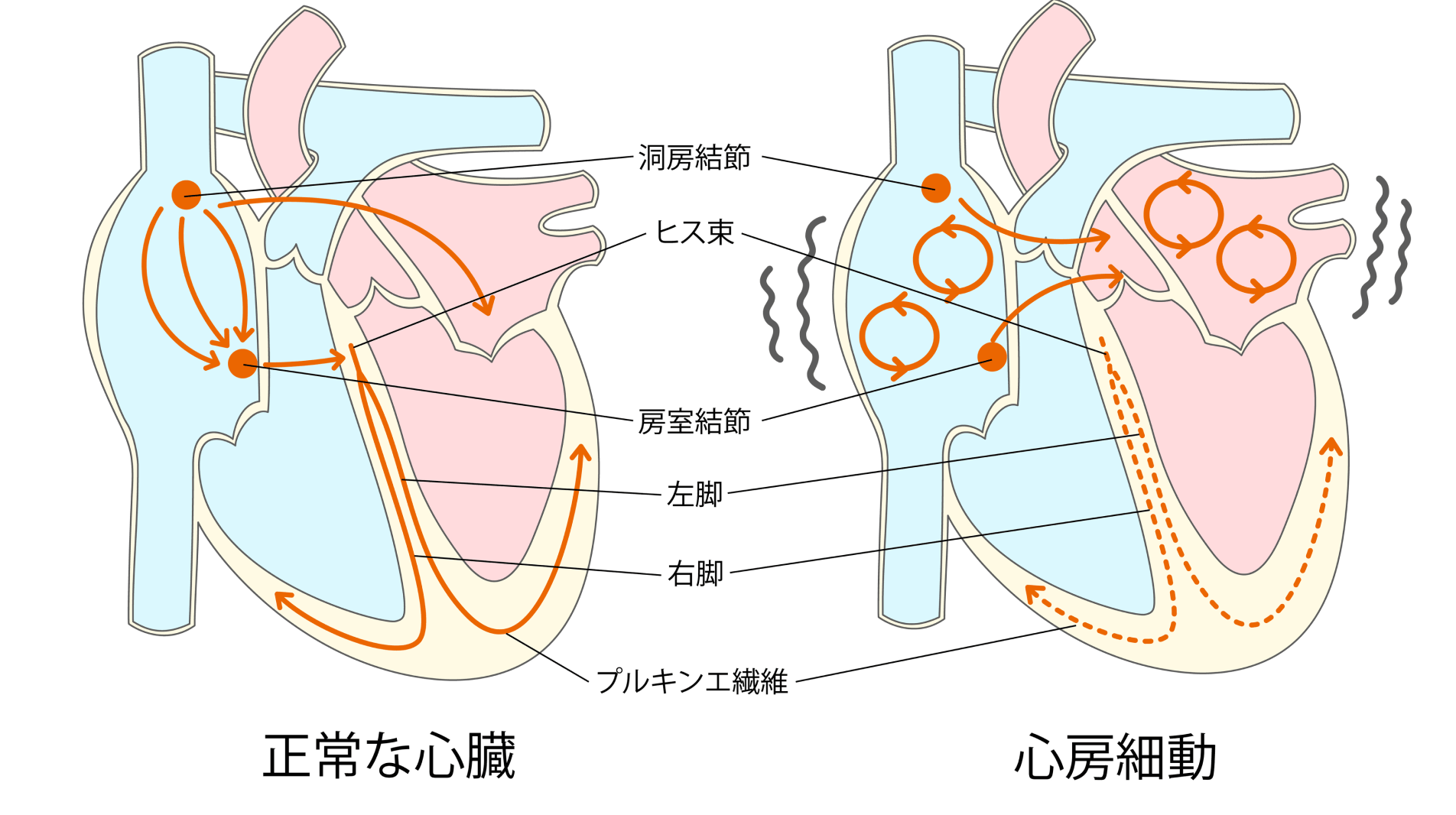 早期発見・早期治療が重要――地域と連携し、診断精度の向上に努める