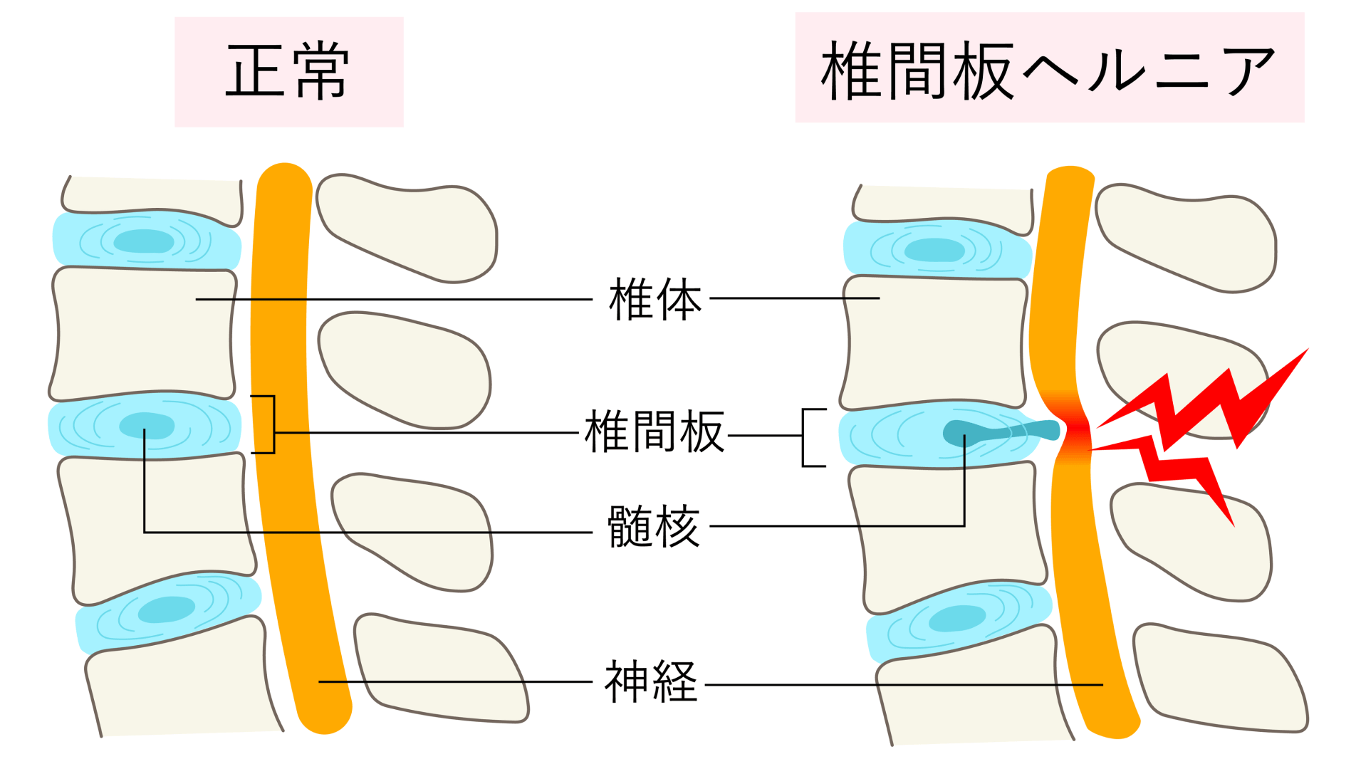 痛みに寄り添った診療を提供