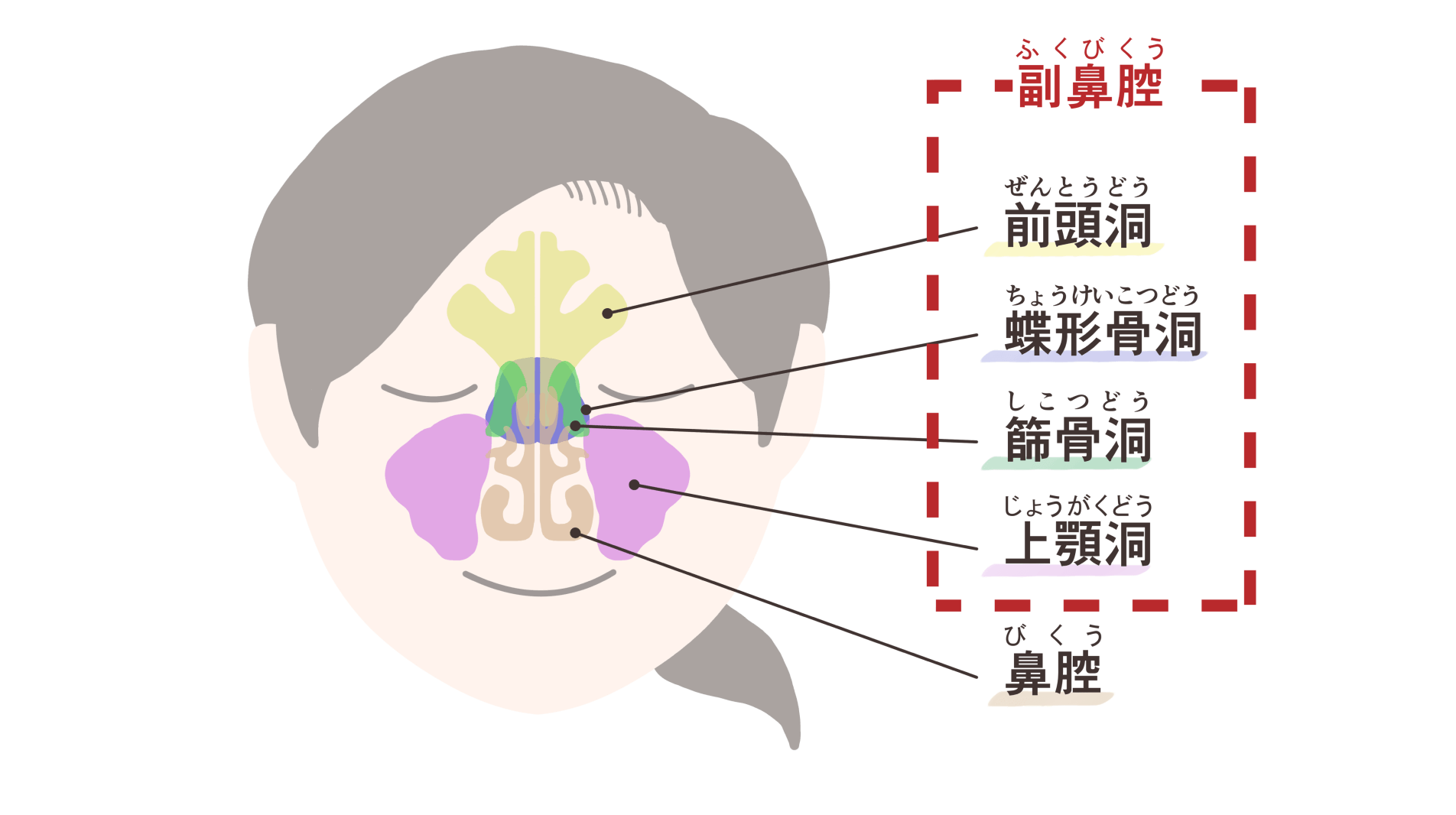 原因が多岐にわたる副鼻腔炎――長引く鼻の違和感は一度受診を