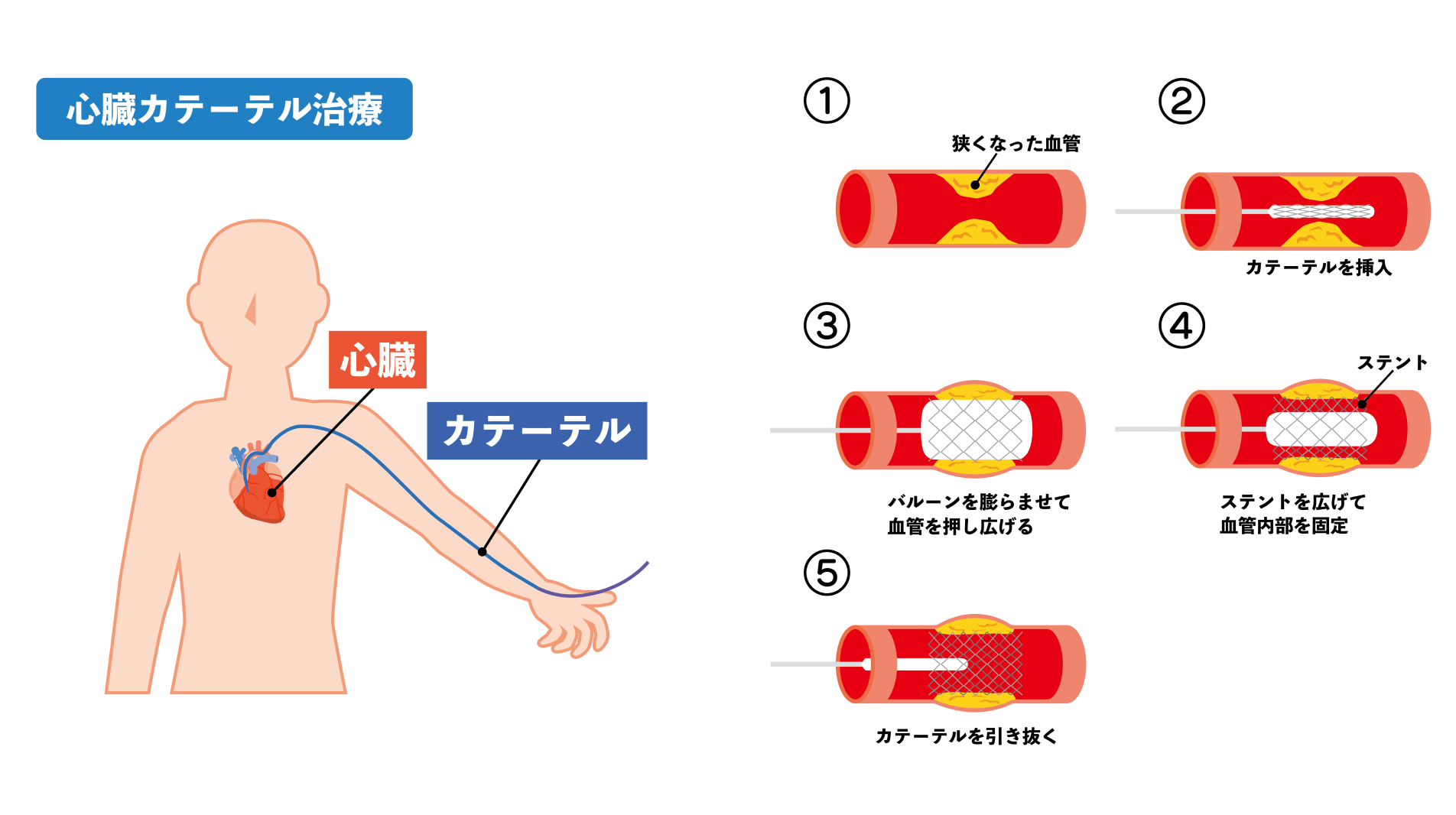 大学病院としての専門性を生かした体制を整備し、全人的な医療を実践する