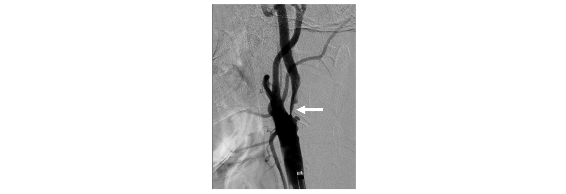 予防から治療、その後の生活まで患者さんを多面的にサポートする