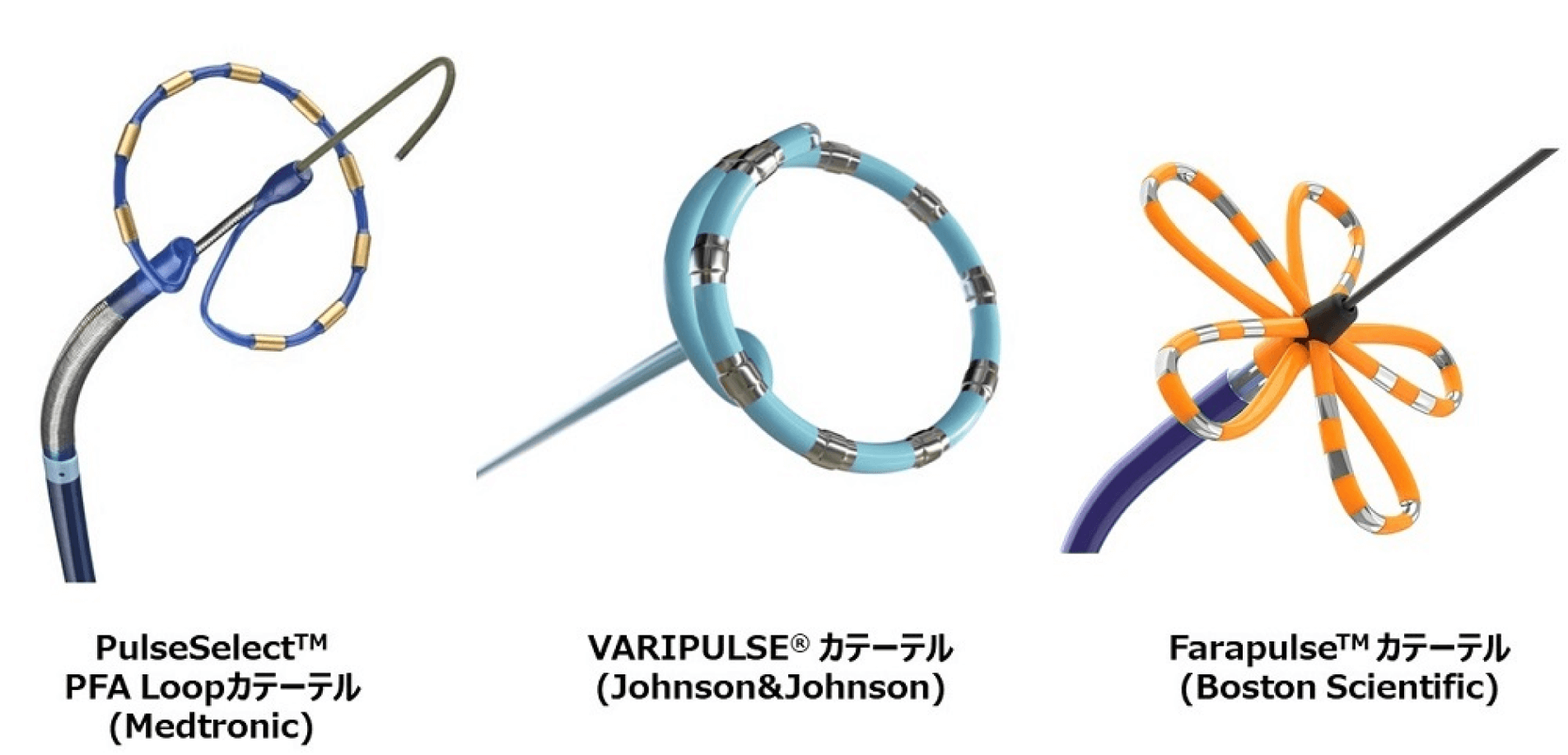 新たなアブレーションを導入し、より確実で安全性の高い心房細動治療に尽力