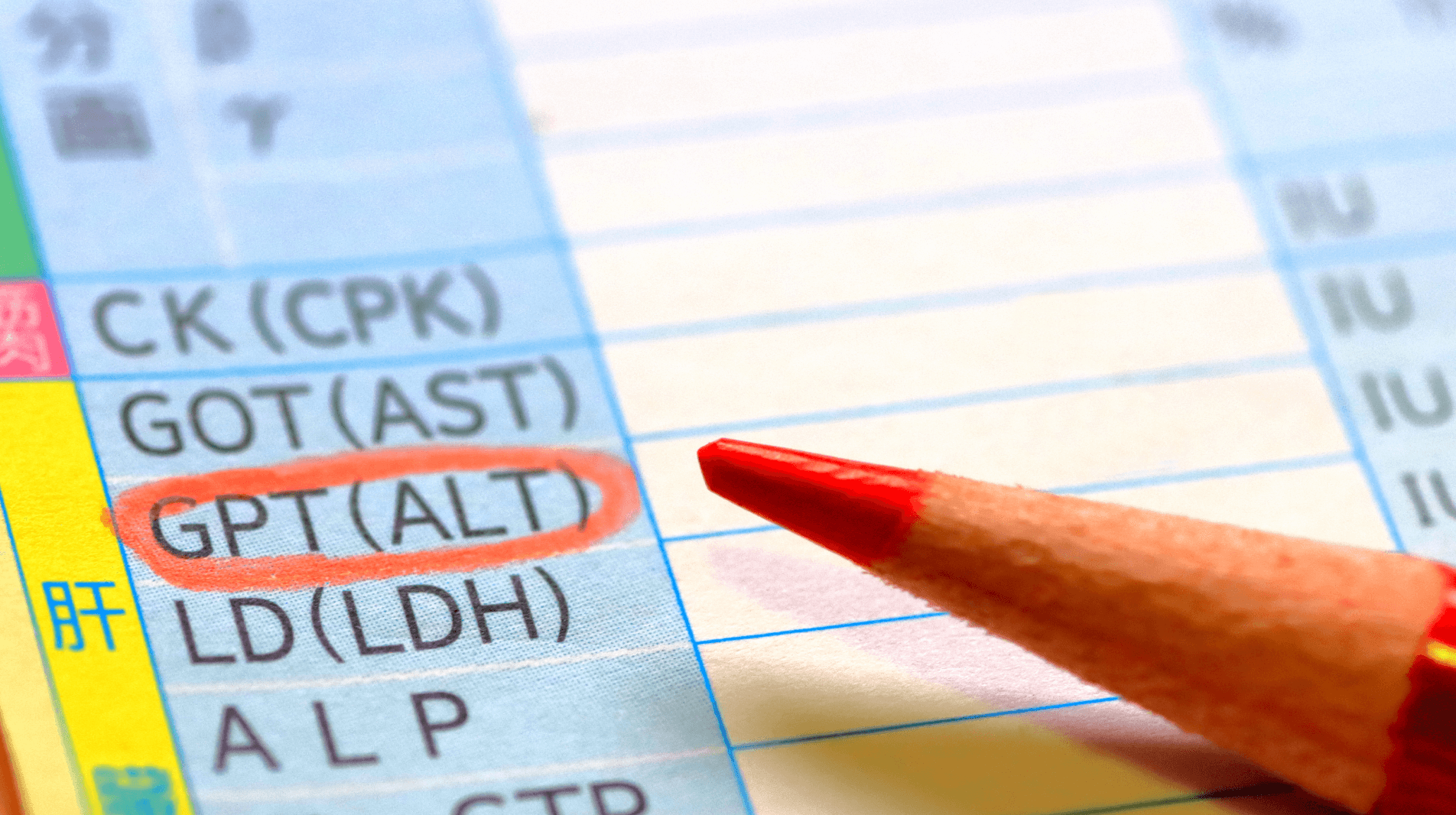 肝臓は沈黙の臓器――ALTの値が30U/Lを超えたら肝臓専門医*の受診を