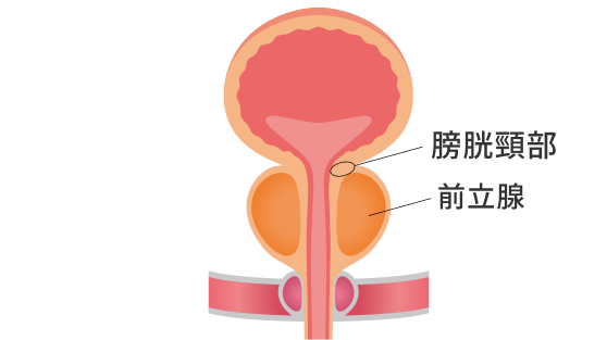 患者さんの術後の生活にも寄り添う治療・ケアを提供