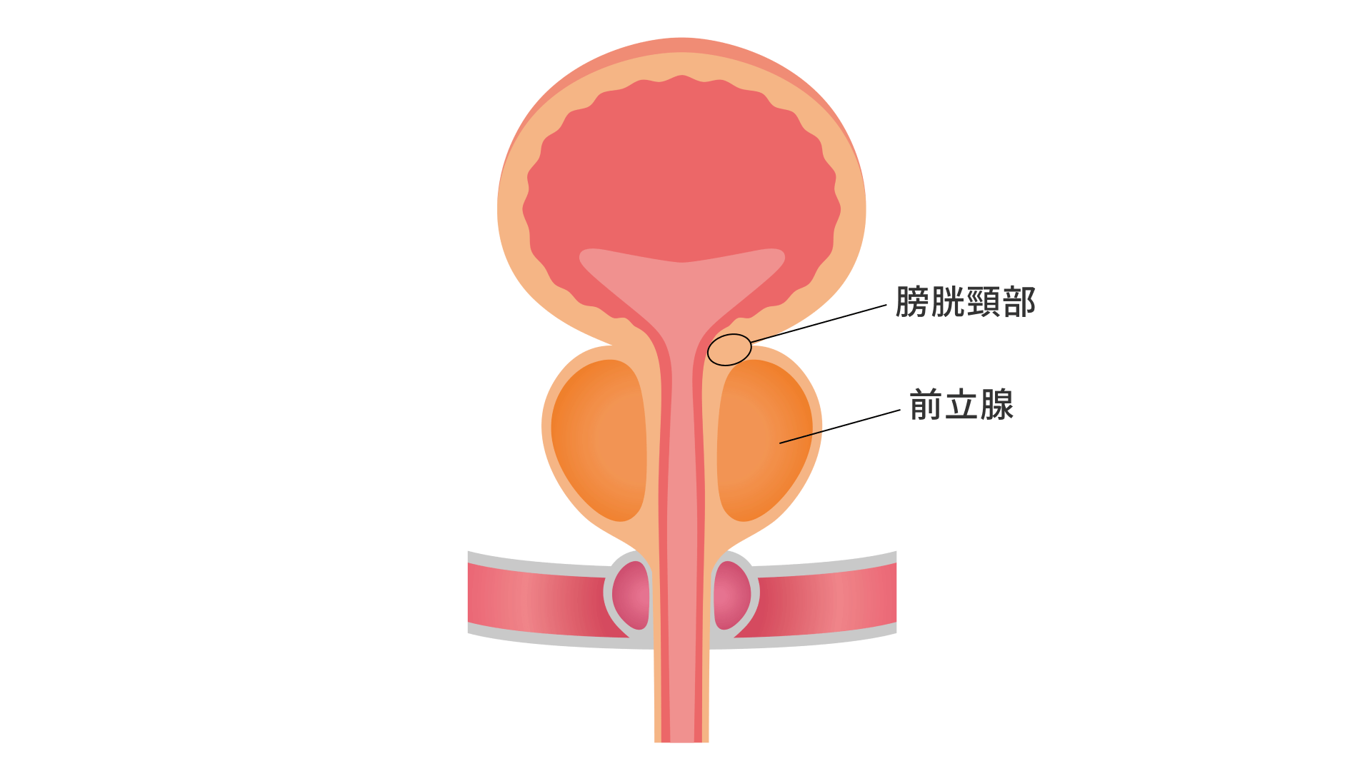 患者さんの術後の生活にも寄り添う治療・ケアを提供