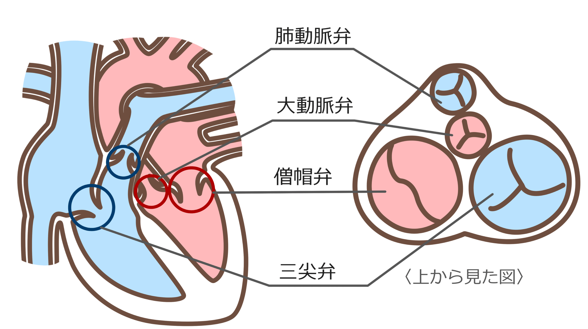 「以前と同じスピードで歩けなくなった」などという場合は、一度受診を