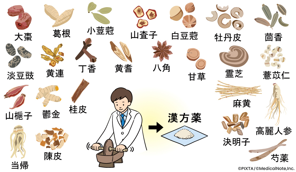 漢方薬に使われるさまざまな生薬